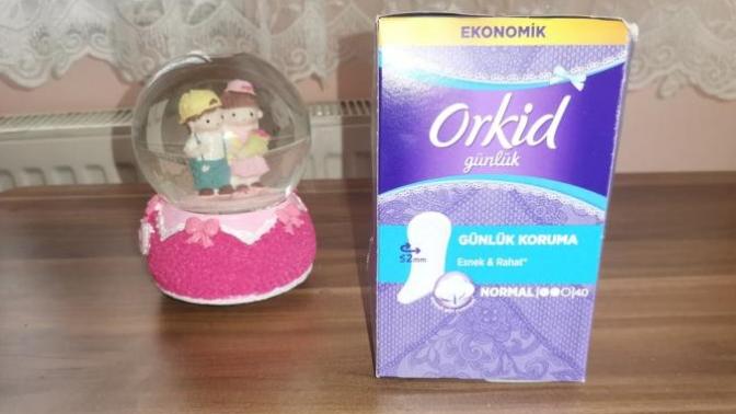 Hangi marka günlük pedi kullanıyorsunuz?