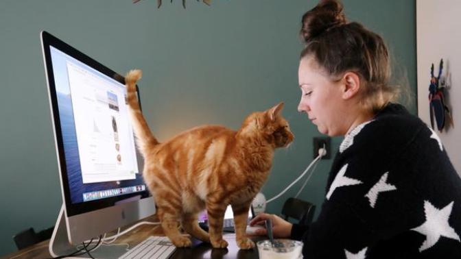 Home office çalışanların yemek, internet, elektrik giderlerini işveren karşılayacak! Güne puanınız kaç?