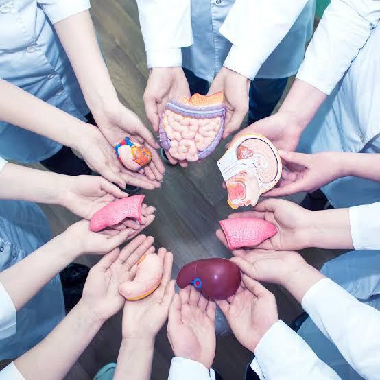 Organ Bağışı yapar mısınız?