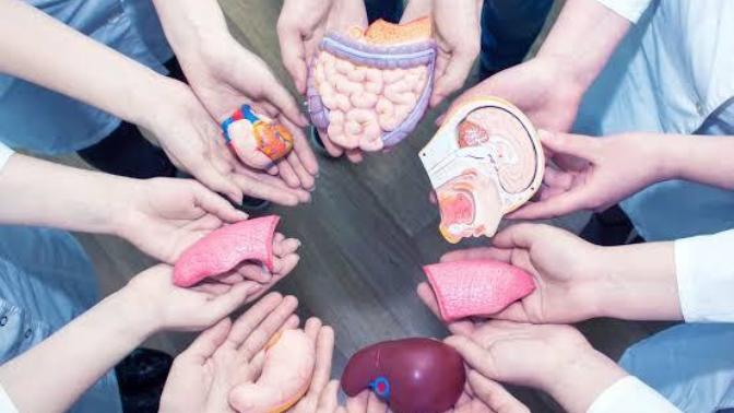 Organ Bağışı yapar mısınız?
