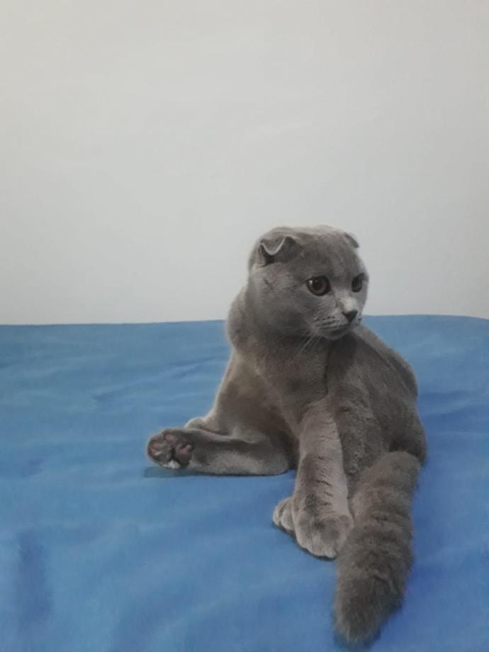 Bebeksi gecenize ne eşlik ediyor?