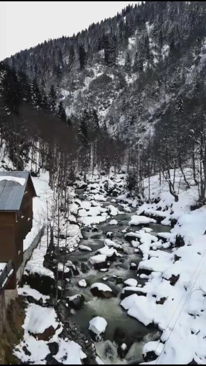 Doğada vakit geçirmeyi sever misiniz?