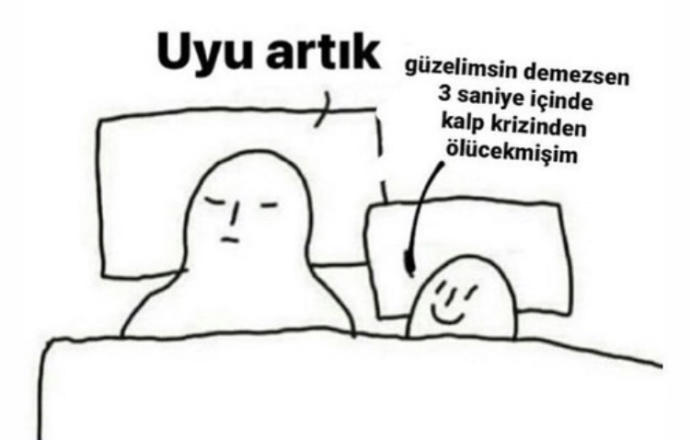 Bu görsellere denk geldim ve baya güldüm 😄