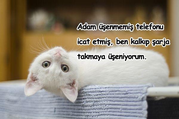 Üşengeç olduğunuzu düşünüyor musunuz? En çok neye üşenirsiniz?