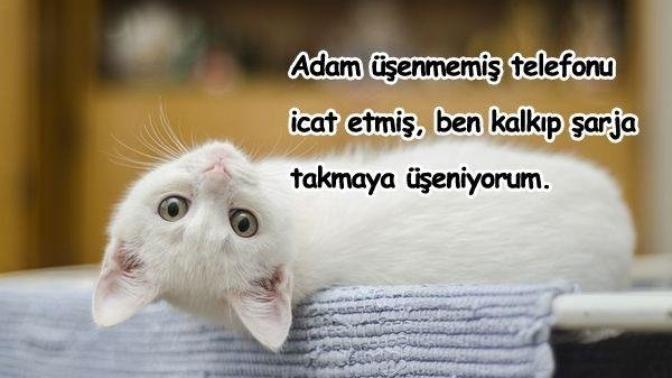 Üşengeç olduğunuzu düşünüyor musunuz? En çok neye üşenirsiniz?
