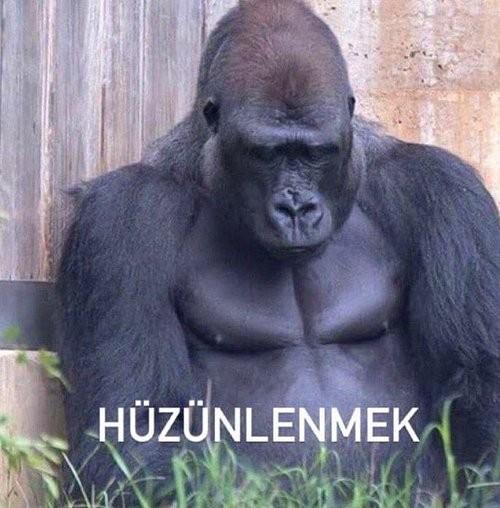 Efkarlı şarkıyla beraber yüklenen efkar?