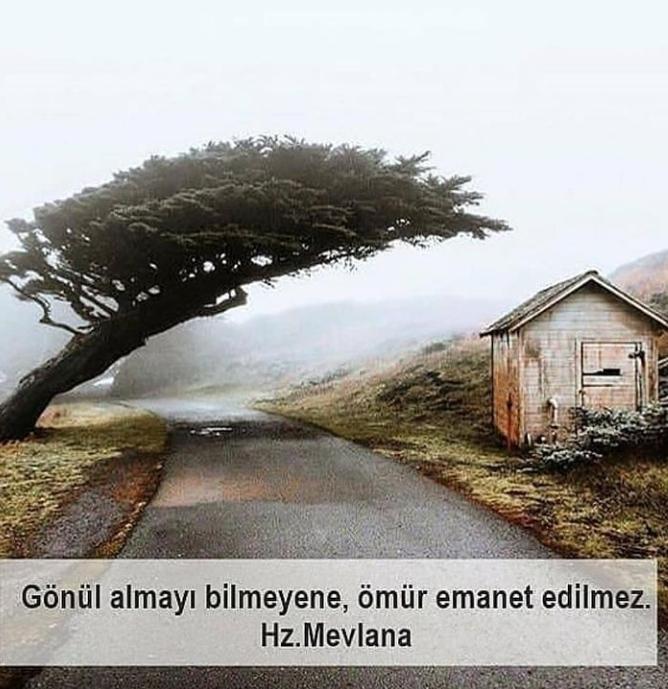 Gönül almayı bilir misiniz?