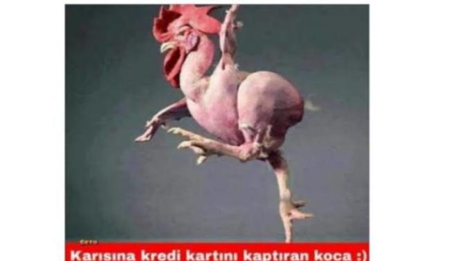 Kredi kartını istemeden veren erkek mi yoksa şifresini veren kadın mı istediğini daha çabuk alır?