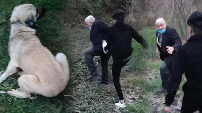 Kocaeli Derincede köpeğe cinsel istismar eden yaşlı adam gençler tarafından darp edildi. Dünya nereye gidiyor?