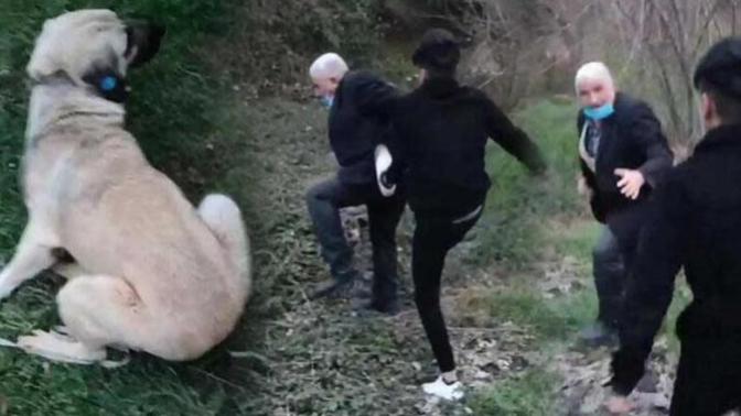Kocaeli Derince'de köpeğe cinsel istismar eden yaşlı adam gençler tarafından darp edildi. Dünya nereye gidiyor?