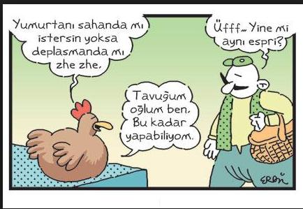 Yumurtanızı nasıl alırsınız?