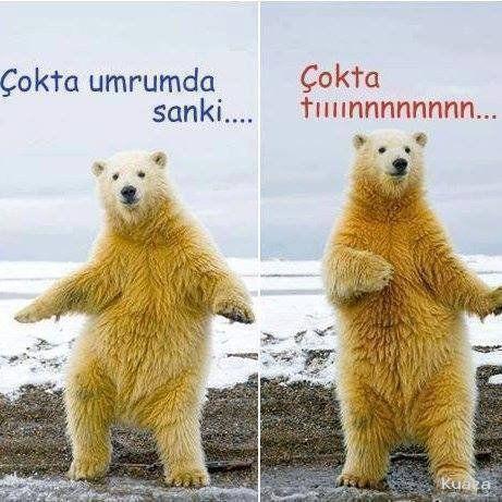 Aşka inanırmısınız?