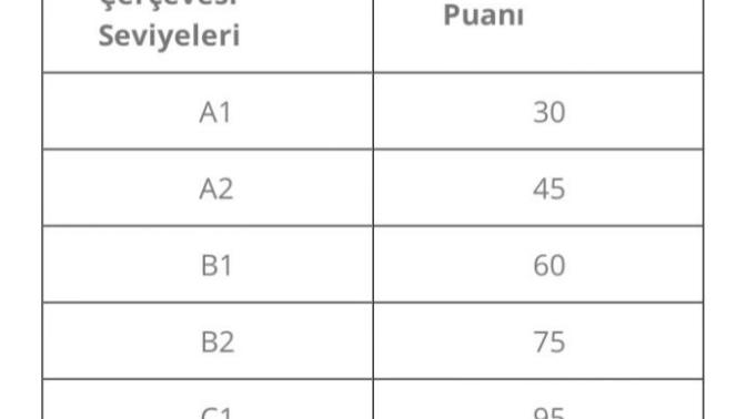 Yds C yapmak için hangi seviye ingilizce gerekir?