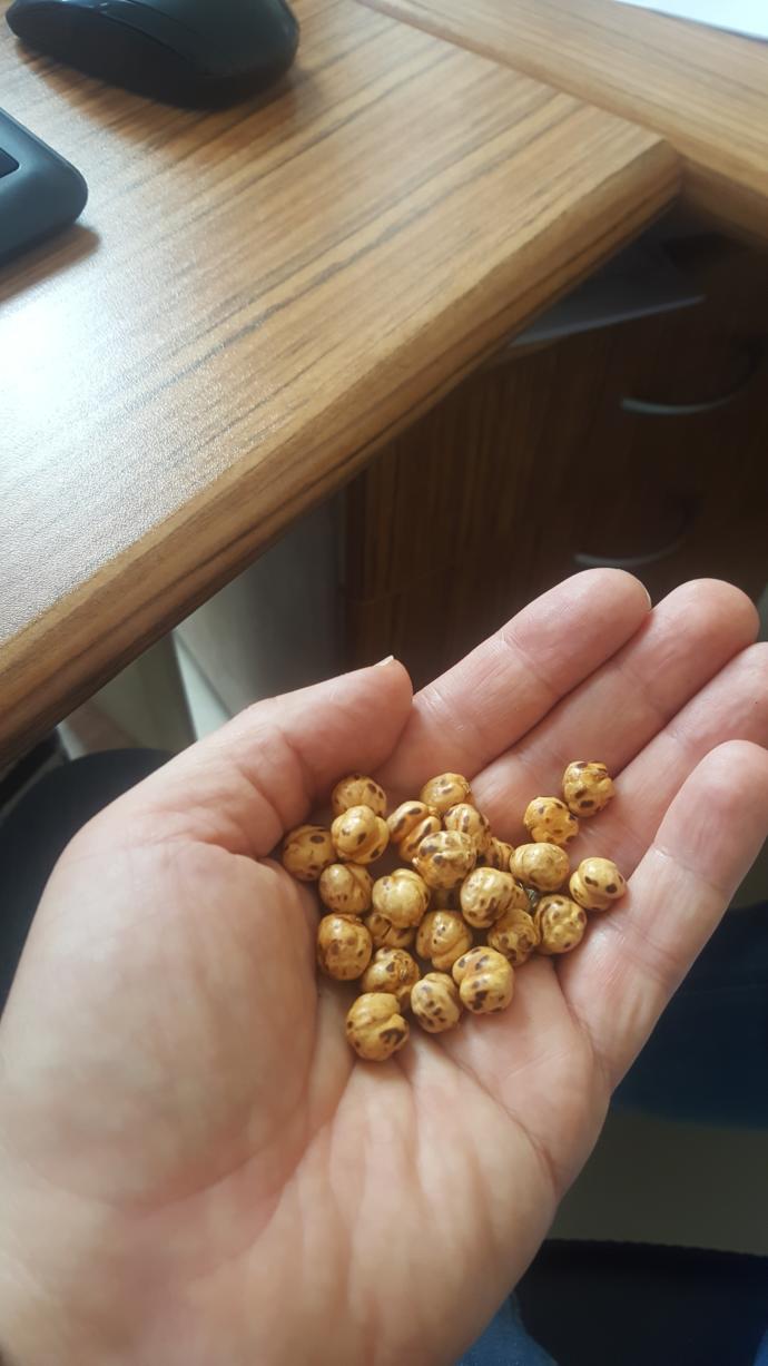 Leb demeden Çorumu anlarmısın?