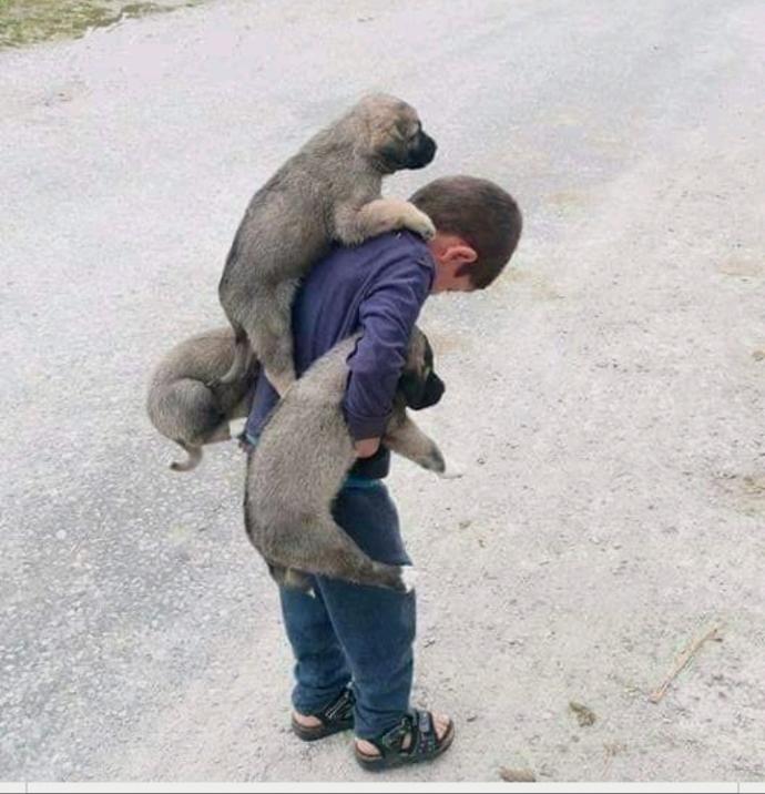 - hayatı güzelleştiren neler warr ?