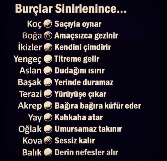 Acaba sen sinirlenince nasıl bir hal sergiliyorsun?