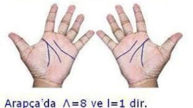 Allah'ın elçisi Hz Muhammed hakkında düşünceniz ne?