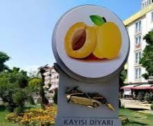 Memleketinizi emojilerle anlatabilir misiniz?