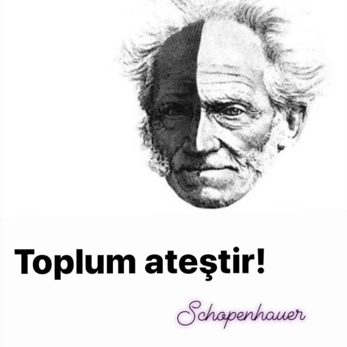 “Toplum; aptal kafaların sığ ve yavan gevezeliklerini, büyük beyinlerin düşüncelerinden daha ikna edici bulur.” Arthur Schopenhaur