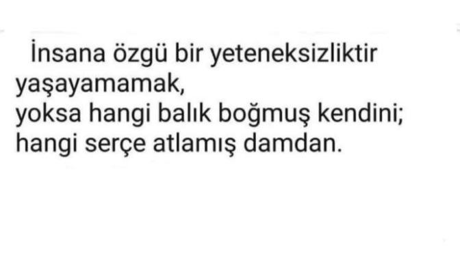 Bu laf ne demek/ ne anlama geliyo?