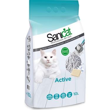 En İyi Kedi Kumu Markaları Hangileri?