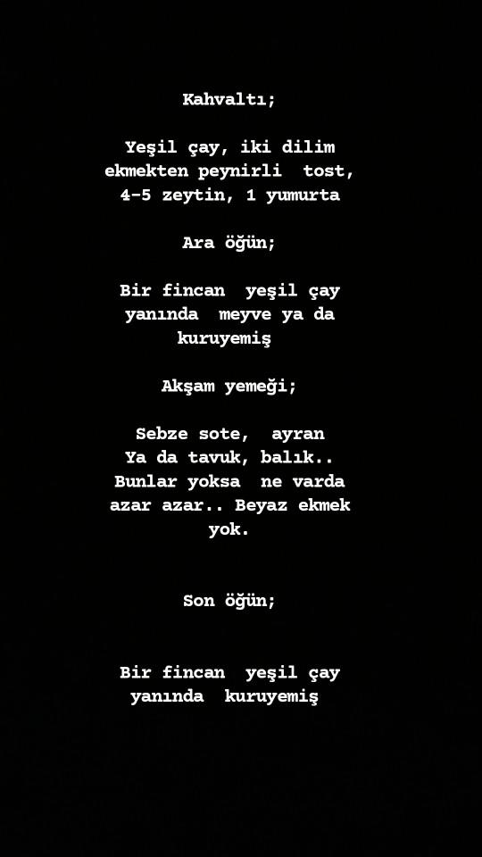 Diyet listesi yazar mısınız?