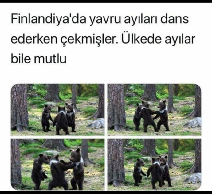 Ülkenizde baktığınızda mutlu olduğunuz ne var?