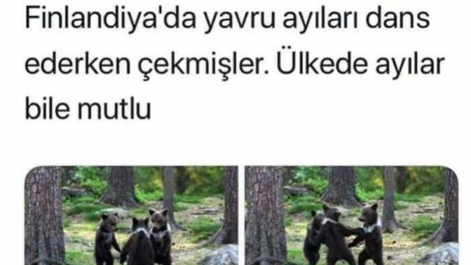 Ülkenizde baktığınızda mutlu olduğunuz ne var?