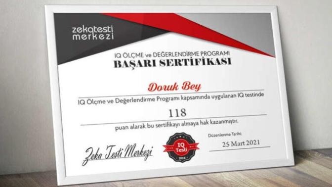 Zeka seviyeniz nekadar? Hiç test yaptınız mı?
