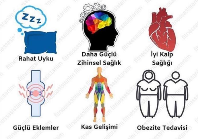 Spor hayatınıza nasıl etki ediyor? Haftada kaç gün spor yaparsınız?