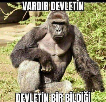 Erdoğan "İstanbul Sözleşmesi'nden girdiğimiz gibi çıkarız, bu kadar basit" dedi. Cumhurbaşkanının üslubu böyle mi olmalı?