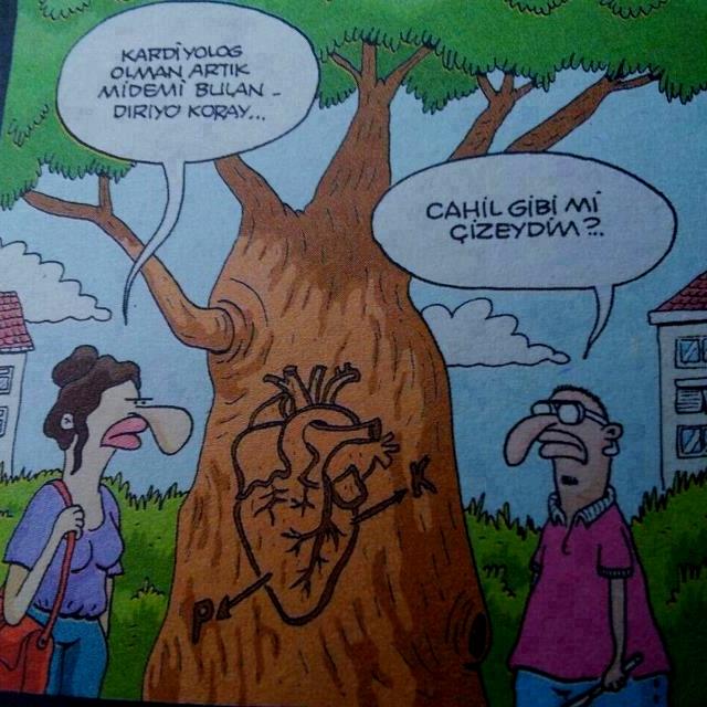 Size göre cahilin tanımı nedir? Bu kelimeyi insanlara karşı kullanmak fazla egoistçe değil mi sizce?