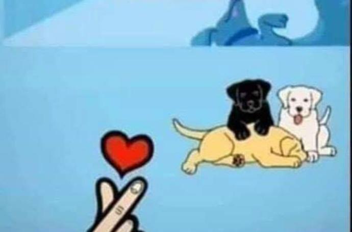Kedi köpek besleyenlerin yüksek bağışıklık nedeniyle korono olmadığı isviçre bilim adamları tarafından tespit edildi?