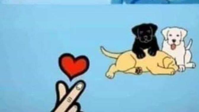 Kedi köpek besleyenlerin yüksek bağışıklık nedeniyle korono olmadığı isviçre bilim adamları tarafından tespit edildi?