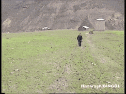 Aşk kapınızı çalsa, ona ne derdiniz?