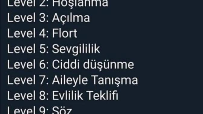 Senin Aşkın Seni Kaçıncı Levele Taşıdı?
