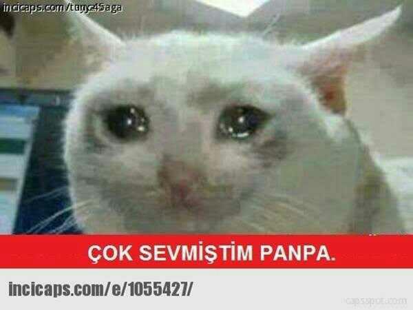 Neden kek yapamıyorum neden bıktım artık 😭😭😭?