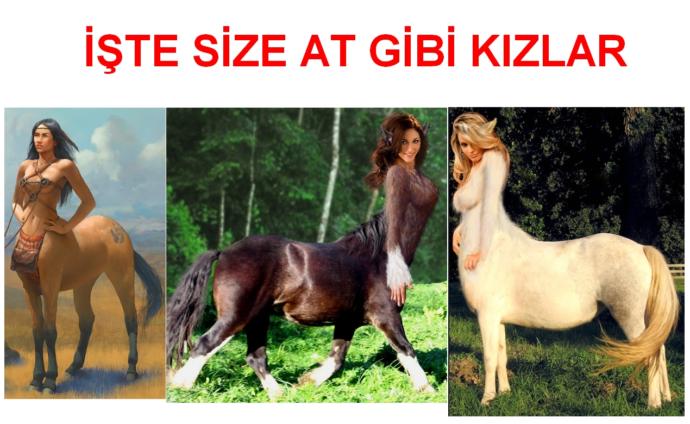 At gibi kız özellikleri nelerdir?