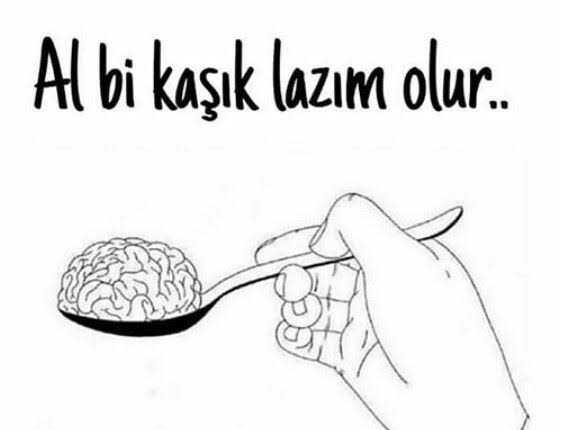 Kedimi tuvalette 31 çekerken yakaladım?