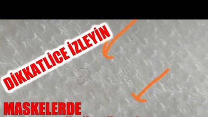 Maskelerdeki parazitler hakkında ne düşünüyorsunuz?