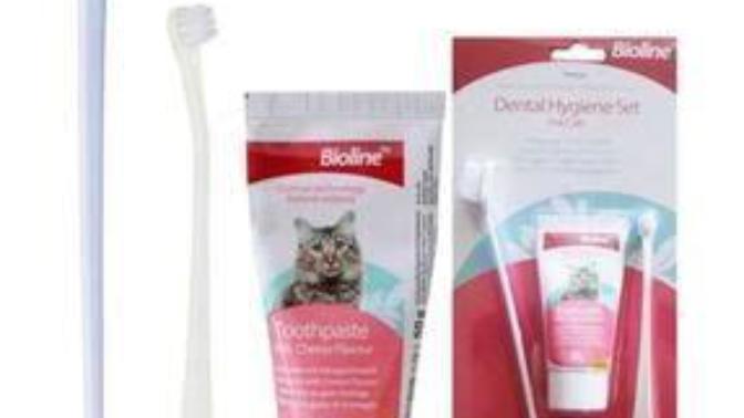 Kedi diş fırçası varmış bunu almalı mıyım?