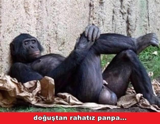 Erkek arkadaşım beni çok kısıtlıyor, ne yapabilirim?