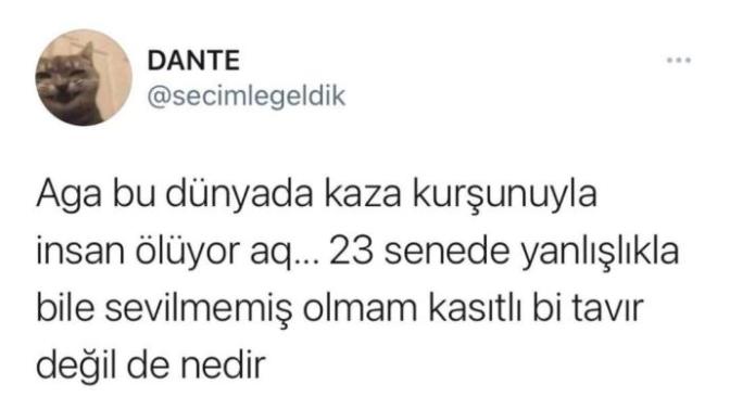 Sizi niye sevmediler?