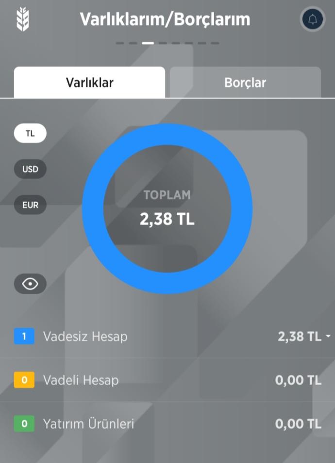 Ne kadar paranız var?