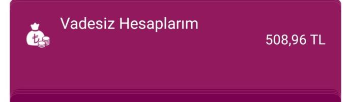 Ne kadar paranız var?