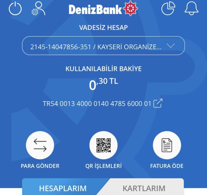 Ne kadar paranız var?