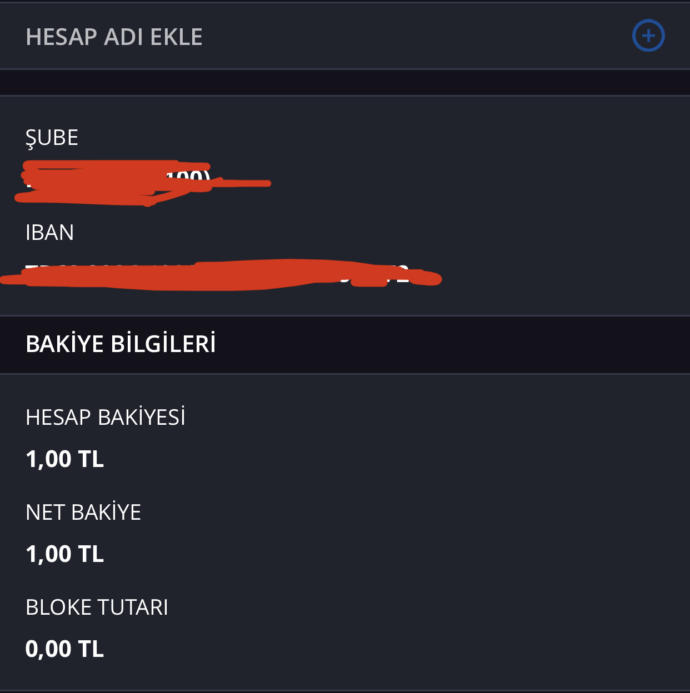 Ne kadar paranız var?