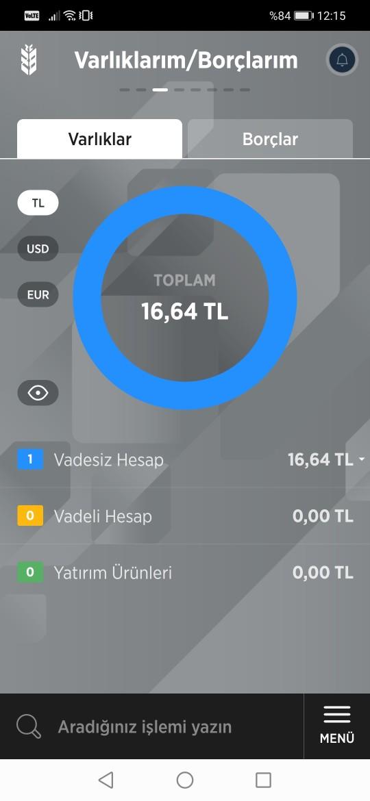 Ne kadar paranız var?