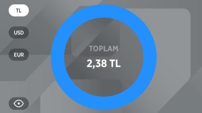 Ne kadar paranız var?