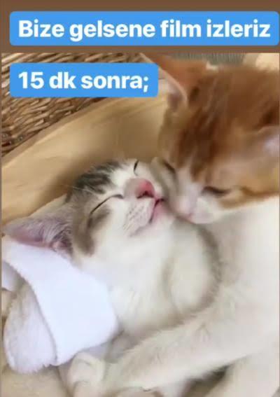 Nişanlım sarılıp uyumak istiyor?